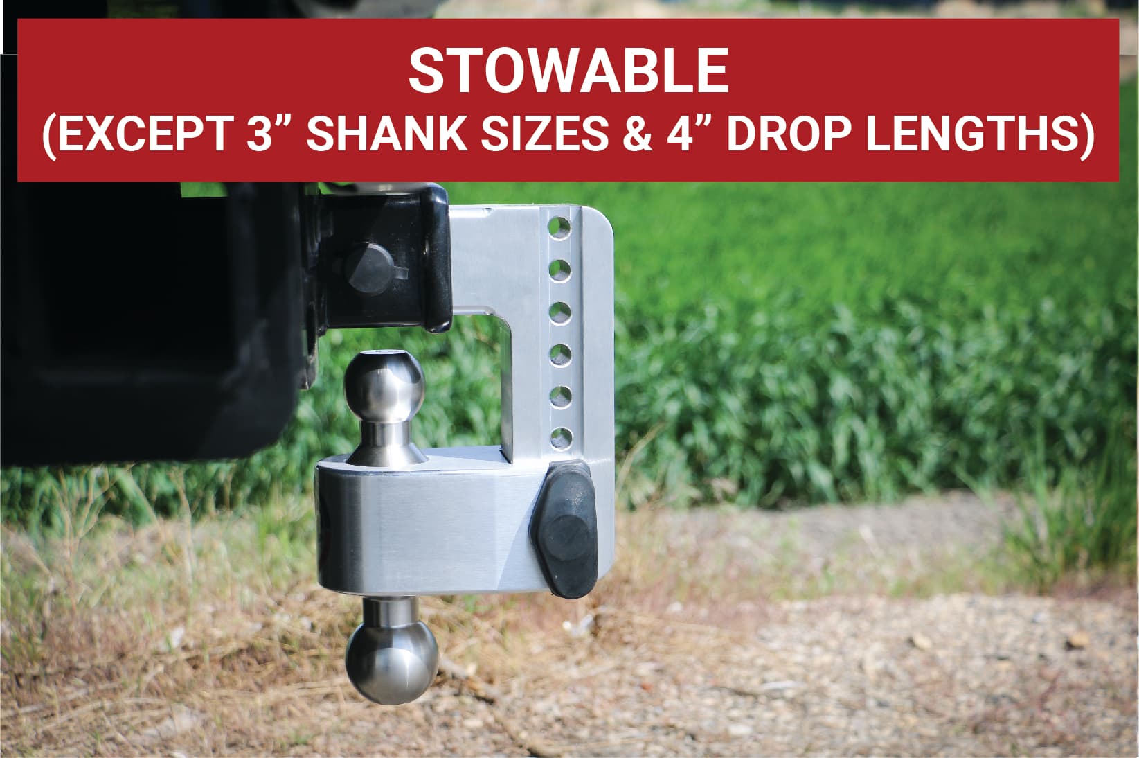 Weigh Safe 180 Hitch - Drop Hitch w/SS Combo Ball -  6" Drop for 3" Shank LTB6-3